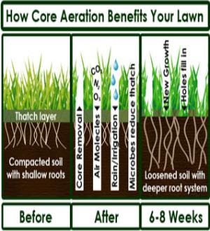 Core aeration process allowing air and water to penetrate soil