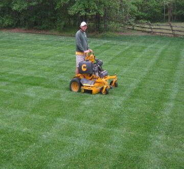 Lush green grass lawn maintained by Clean Cut