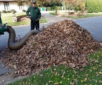 Fall leaf removal service in Fort Mill SC