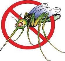 Mosquito control barrier treatment service