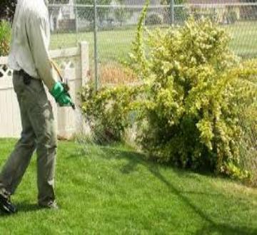 Professional weed control treatment for residential lawn