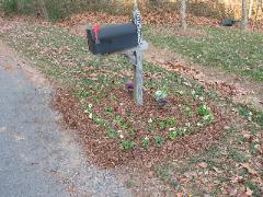 Mailbox area before landscaping