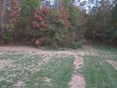 Landscaping project by Clean Cut