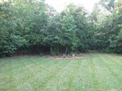 Clean Cut project completed